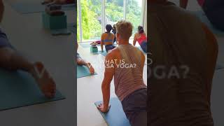 What is Vinyasa Yoga Vinyasa Yoga [upl. by Indyc918]