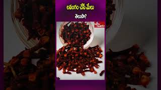 లవంగం చేసే మేలు తెలుసా clovesbenefits cloves healthbenefits healthcare hmtvhealthplus [upl. by Ratcliff]