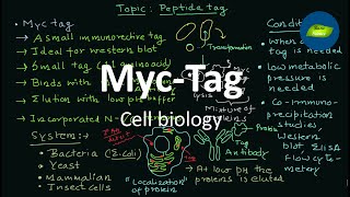 Myc tag  Protein tag  Myc tag  Immunogenic Tag  Cell Biology  Basic Science Series [upl. by Mahmud275]