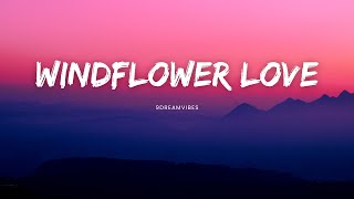 Windflower Love  9Dreamvibes Official Audio Song [upl. by Jagir714]