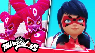 MIRACULOUS  🐞 CONFRONTATION  Akumatized 🐾  SEASON 5  Tales of Ladybug amp Cat Noir [upl. by Relyuhcs]