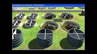 CBSE Class 12 Biology  Microbes In Sewage Treatment [upl. by Erusaert]