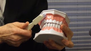 How to Brush Your Teeth With Gum Recession [upl. by Esina]