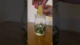 Fermented Lime Jalapeño Recipe fermentedfood fermentation easyrecipes [upl. by Culley]