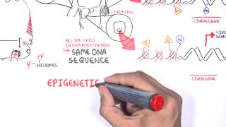 Epigenetics  An Introduction [upl. by Merriman]