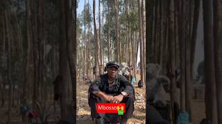 MBOSSO KHAN KWENYE UBORA WA OVAquotOVER mbosso ova newsong wasafi youtubeshorts love [upl. by Charin300]