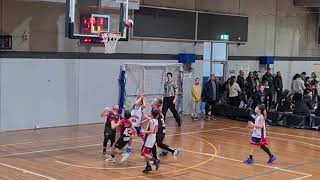 14 amp 21 Jun 2024  Game Highlights  VJBL  Keilor Thunder  Nathan Tang 72 [upl. by Sewole]