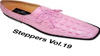 Steppers Vol 19 [upl. by Sundberg500]