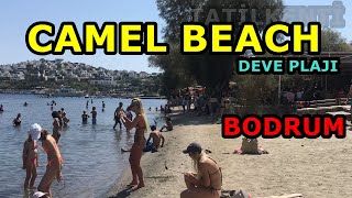 CAMEL BEACH  DEVE PLAJI  BODRUMUN EN GÜZEL PLAJI [upl. by Nelyak903]