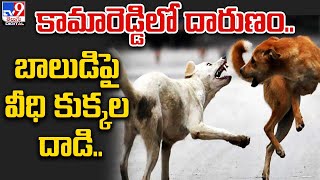 కామారెడ్డిలో దారుణం బాలుడిపై వీధి కుక్కల దాడి  TV9 [upl. by Chivers714]