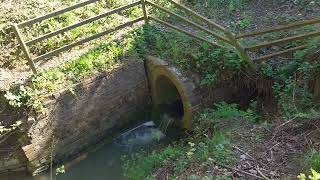 3rd culvert on the grand Union canal yelvertoft area may 5th 2024 in nead of repair [upl. by Gearalt]