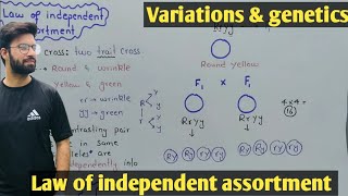 Law of independent assortment  Dihybrid Cross  Class 12 Biology [upl. by Salome595]