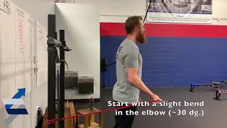 Reactive Isometrics for Biceps Tendinopathy  30 degrees elbow flexion [upl. by Aikimat]