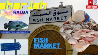 Kalba Fish Market in Sharjah UAESharjah Fish Marketदुबई [upl. by Ahsimot]