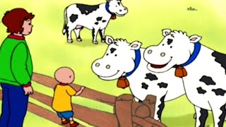 Caillou em Português ★ Episódios Completos ★ Caillou e os cachorrinhos ★ Desenho Animado ★ [upl. by Merrili]