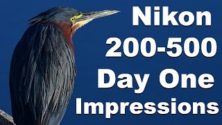 Nikon 200500mm Lens First Day Impressions Wildlife  Birding Photography [upl. by Madge]