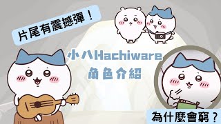 【Chiikawa 人物介紹】小八 Hachiware 貼心小暖男卻窮得住山洞  Chiikawa解說 EP4  ちいかわ  吉伊卡哇 [upl. by Nnayt]