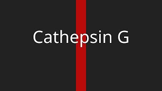 Cathepsin G [upl. by Hettie843]