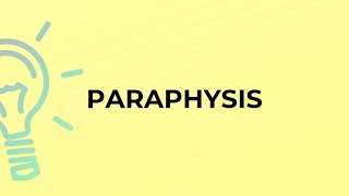 What is the meaning of the word PARAPHYSIS [upl. by Jenda]