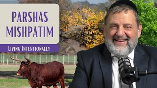 Mishpatim  Living Intentionally  Rabbi Dovid Orlofsky [upl. by Sanjay]