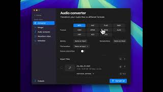 TOOL NO 9 Audio converter  Pimosa app  Convert audio files demo  macOS and Windows [upl. by Garnett]