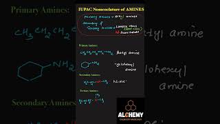 NOMENCLATURE OF AMINES chemistryeducation NEETJEE [upl. by Phenice]