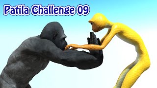 Patila Challenge Part 09  Patila vs Gorilla Fight With Fun [upl. by Grannias]