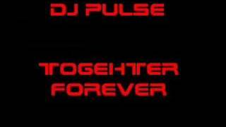 Dj Pulse [upl. by Sgninnej]