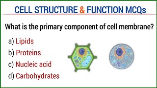 cell structure and function MCQs  cellular biology Mcq with answers  biology mcq [upl. by Ellerehs]