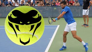 Novak Djokovic CRUSHING Backhands In Slow Motion [upl. by Akirre]