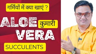 ALOE VERA घृतकुमारी benefits ।। गर्मियों में क्या खाएं Succulents C3 C4 plants OMNIVORES [upl. by Aicilav541]