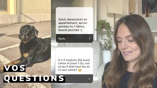 FAQ  GROS CHIEN EN APPARTEMENT MORDILLEMENT DU CHIOT JE VOUS RÉPONDS [upl. by Eeral]