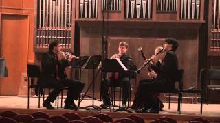 Giulio Briccialdi  Wind Quintet in D major Op 124 [upl. by Aniryt472]