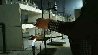 experiment7 CST of phenol water system [upl. by Menon]