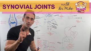 Synovial Joints [upl. by Eniloj]