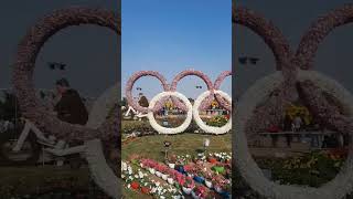 FLOWER SHOW AHMEDABAD RIVERFRONT 2023 shorts ytshorts riverfront 2023 flowershow youtube yt [upl. by Oreste307]