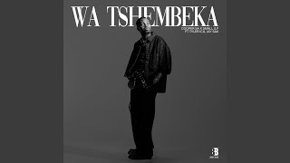 Wa Tshembeka [upl. by Reamy]