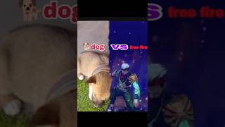 🐕dog vs free fire 🥰😱 Mrassam vlog [upl. by Bailar715]