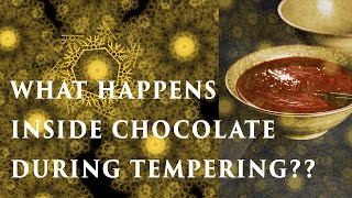 What happens inside Chocolate during Tempering The Magic of Tempering Deconstructed [upl. by Nomzzaj]