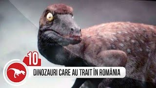 TOP 10 DINOZAURI CARE AU TRAIT IN ROMANIA [upl. by Ainoval]