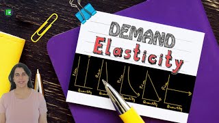 Elasticity of Demand  Elastic Vs Inelastic Goods How to Draw Graphs and Calculate Coefficients [upl. by Rika606]