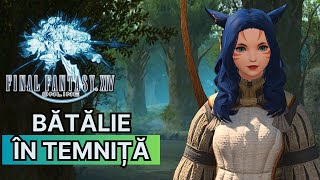 Final Fantasy XIV  Mam batut cu o piatra in temnita  3 [upl. by Mauchi132]