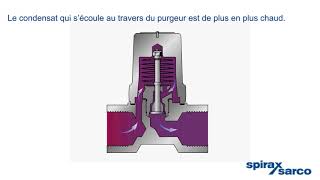 Comment ça marche Purgeurs thermostatiques bimétalliques [upl. by Fafa]