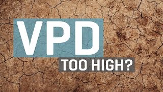 VPD Too High [upl. by Novonod]