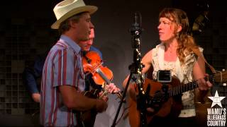 Foghorn Stringband  Im Longing For Home Live at WAMUs Bluegrass Country [upl. by Michaeu]