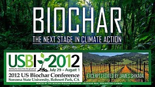 Biochar  The Next Stage In Climate Action [upl. by Trisha]