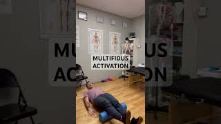 Multifidus Activation [upl. by Lucas]