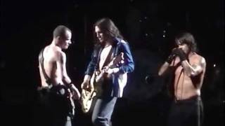 Red Hot Chili Peppers  Intro  Otherside LIVE [upl. by Aerdma424]