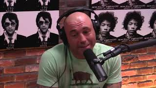 Joe Rogan amp Dan Bilzerian Discuss Money [upl. by Ausoj]