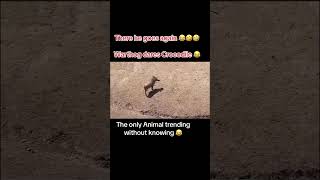 Kasongo again😂😂😂goviral PLEASE SUBSCRIBE FOR MORE MY LOVES [upl. by Ativad]